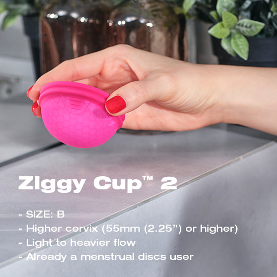INTIMINA Ziggy Cup 2 Size B